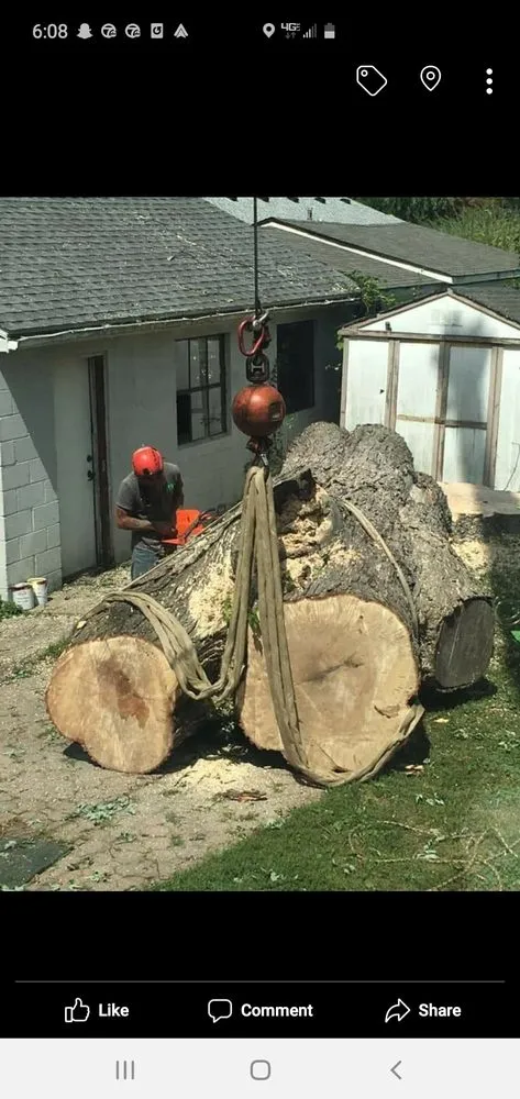 Affordable yard maintenance in Waterford, MI by Otto Tree Service