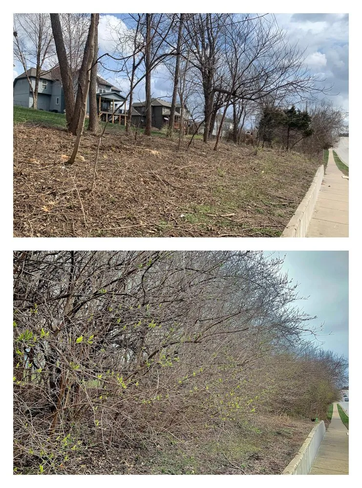 Affordable lawn mowing service for homes across Kansas City, MO - OTTO'S Environmental Improvements