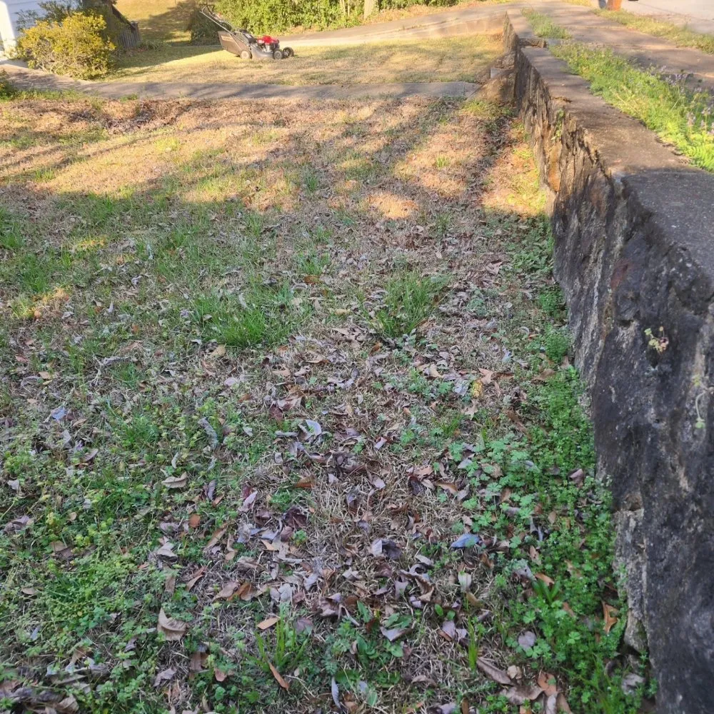 Affordable landscape design in Greenville, SC by Otto's Lawncare & Paint