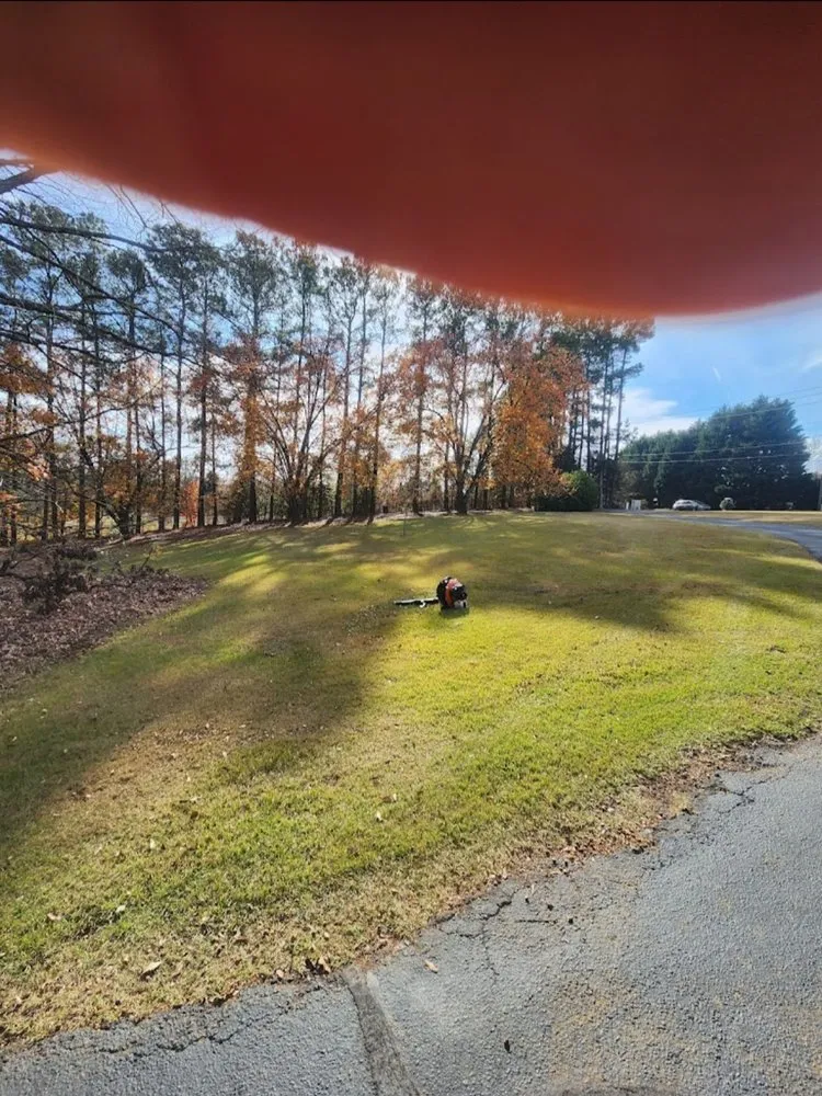 Custom yard cleanup service in Greenville, SC - Otto's Lawncare & Paint