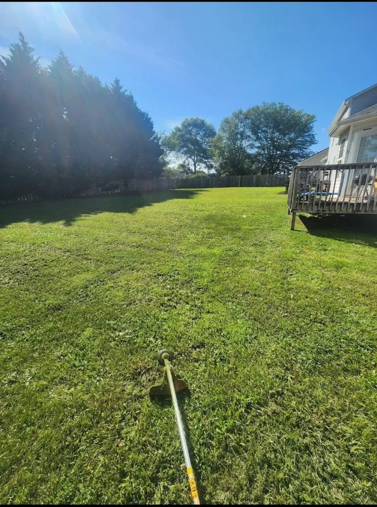 Expert yard cleanup service in Greenville, SC by Otto's Lawncare & Paint