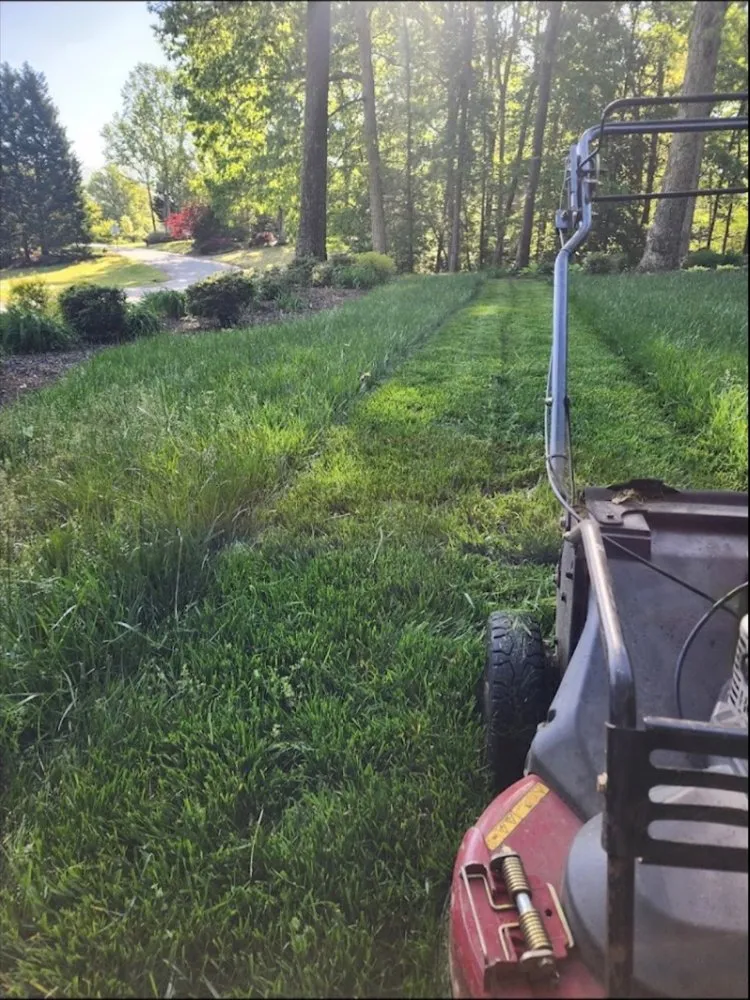 Professional garden landscaping in Greenville, SC - Otto's Lawncare & Paint