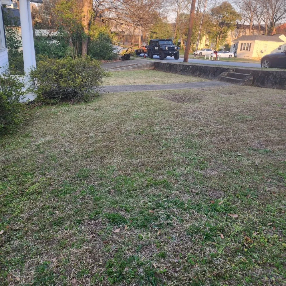 Professional outdoor landscaping in Greenville, SC - Otto's Lawncare & Paint