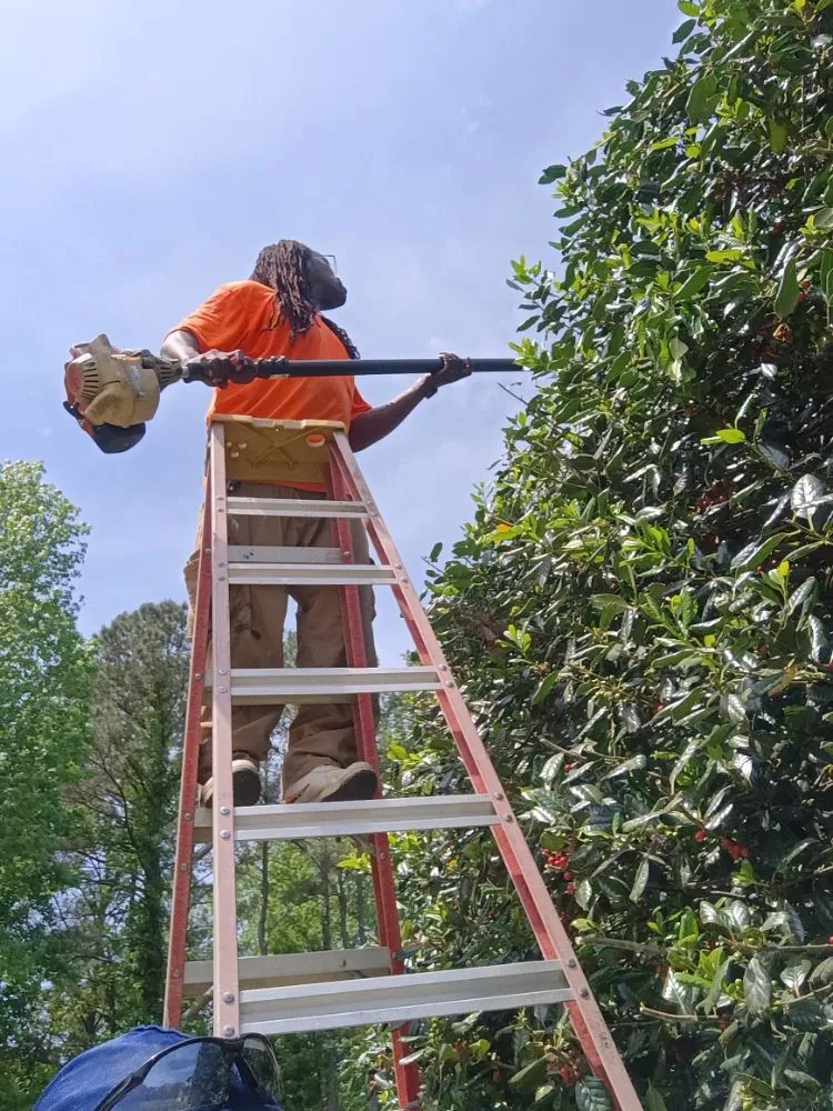 Professional outdoor landscaping in Durham, NC - Otw