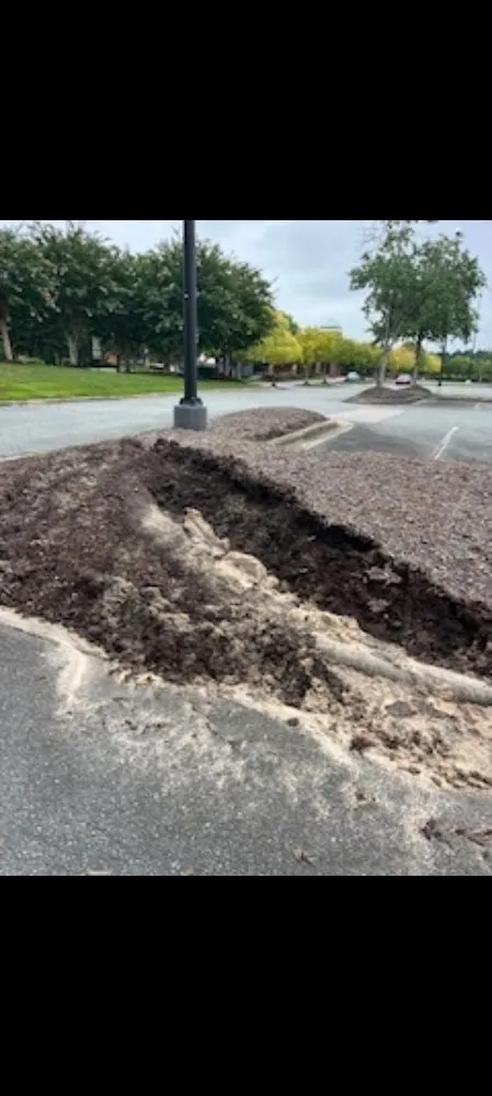 Top-rated landscape design experts serving Durham, NC - Otw