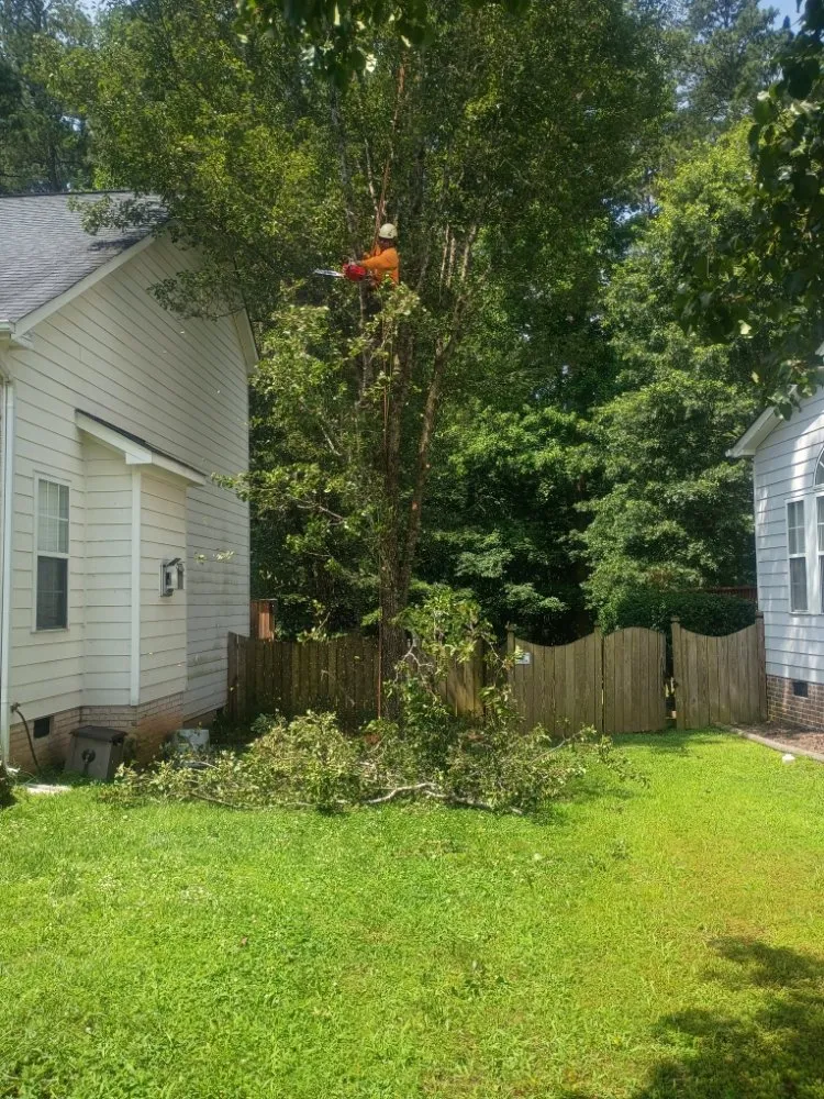 Professional landscape installation in Durham, NC by Otw