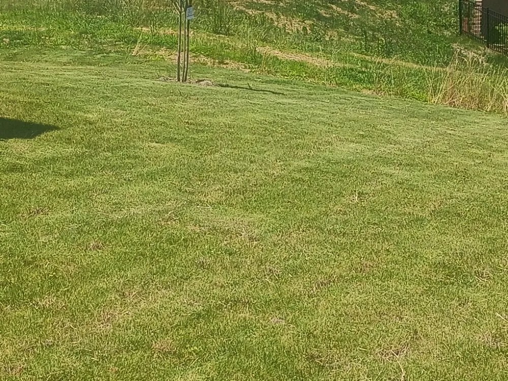 Expert landscape installation for outdoor upgrades in Durham, NC by Otw