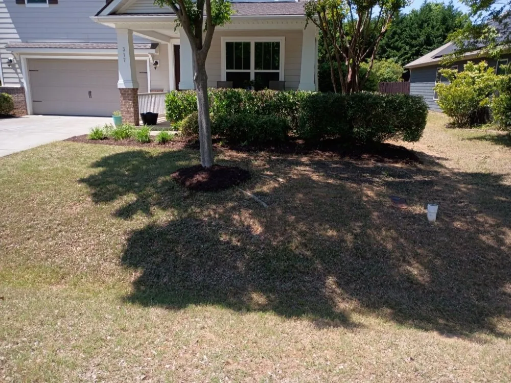 Top-rated outdoor landscaping experts serving Durham, NC - Otw