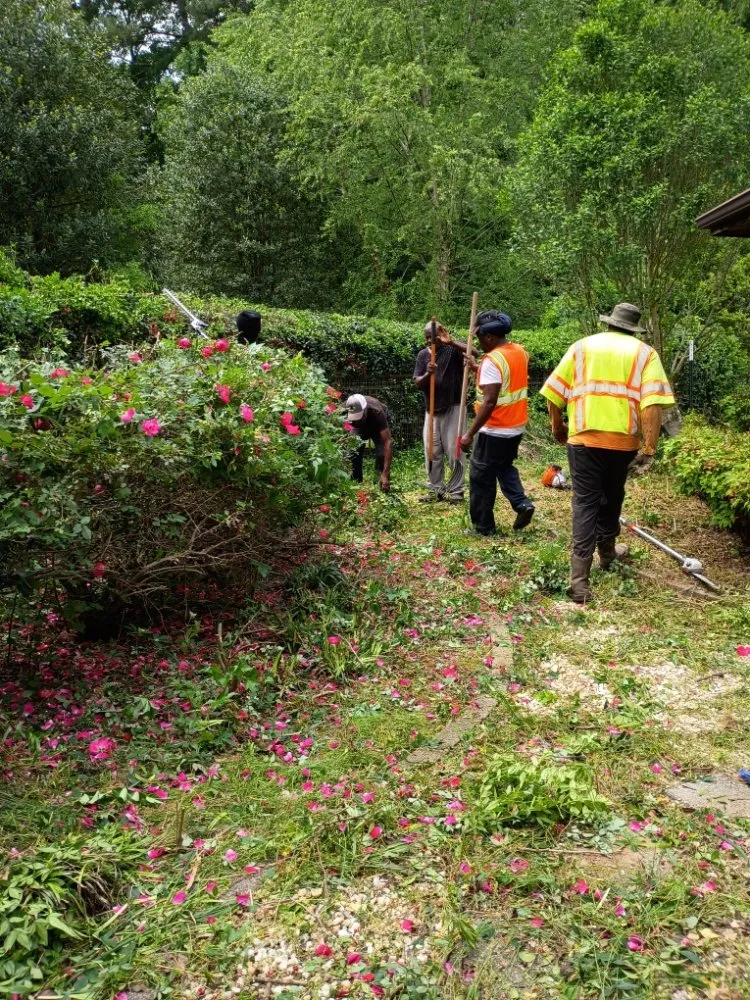 Top-rated residential landscaping experts serving Durham, NC - Otw