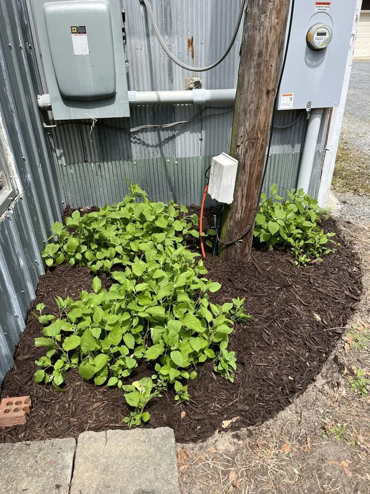 Local outdoor landscaping for year-round maintenance in Delmar, DE by Otwell’s Property Solutions