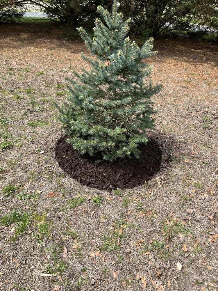 Top-rated landscape design in Delmar, DE by Otwell’s Property Solutions