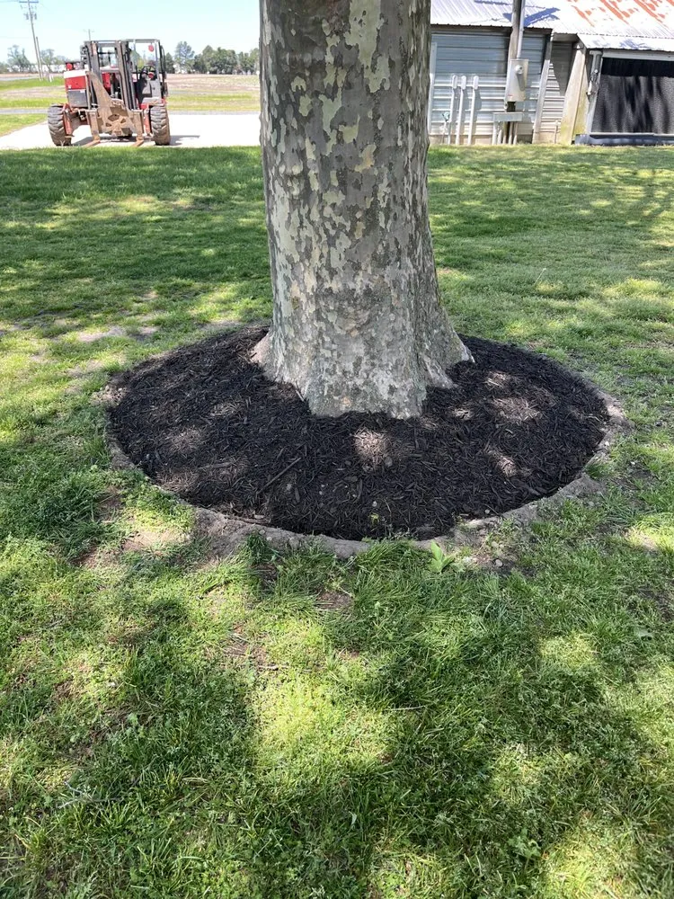 Affordable lawn care service near you in Delmar, DE by Otwell’s Property Solutions