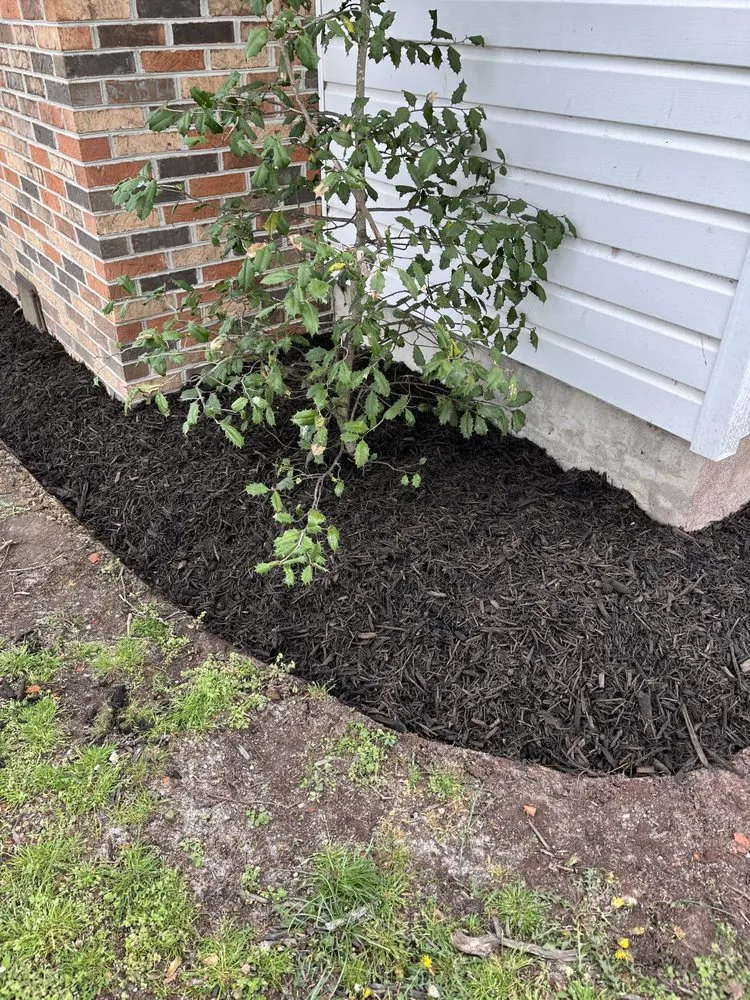 Affordable yard maintenance experts serving Delmar, DE - Otwell’s Property Solutions