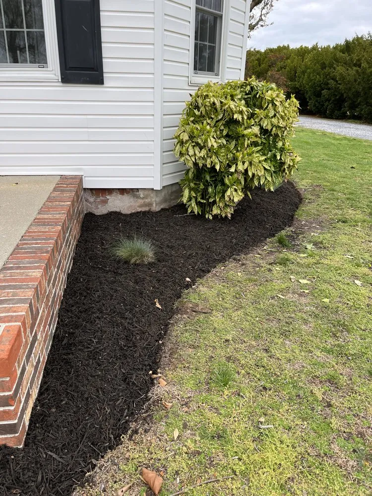 Custom yard cleanup service in Delmar, DE - Otwell’s Property Solutions