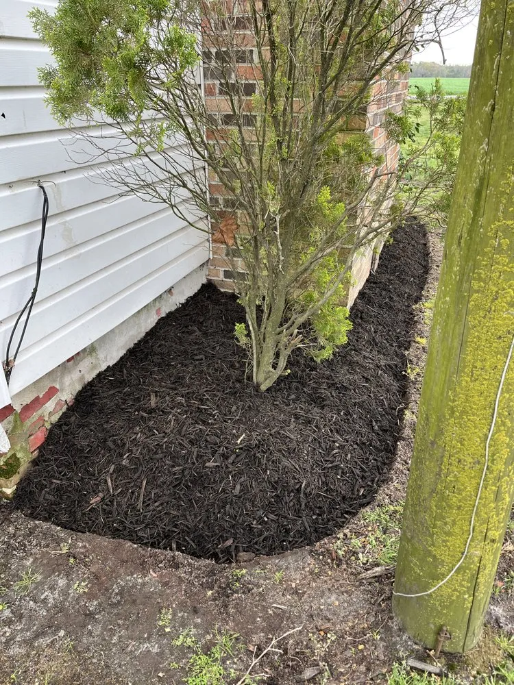 Local landscape design experts serving Delmar, DE - Otwell’s Property Solutions