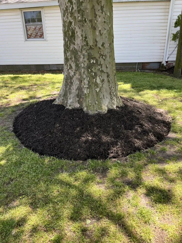 Expert landscape design for outdoor upgrades across Delmar, DE - Otwell’s Property Solutions