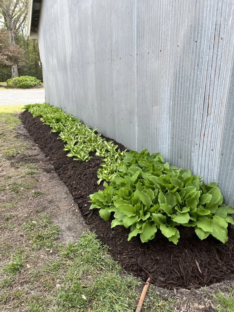 Expert residential landscaping for beautiful yards across Delmar, DE - Otwell’s Property Solutions