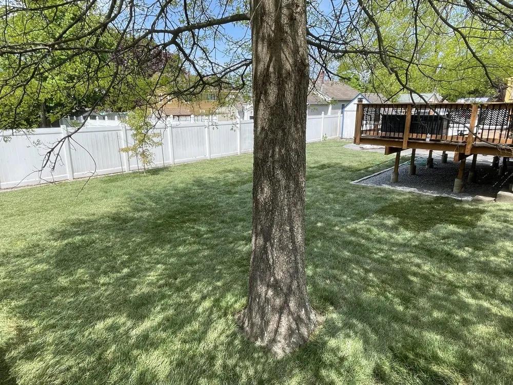 Local landscape design for outdoor upgrades across Bristol, RI - Ouellette Landscape & Design