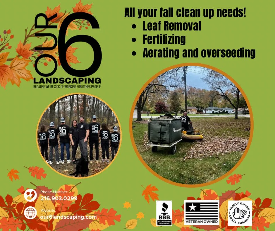 Local residential landscaping for year-round maintenance across Westlake, OH - Our 6 Landscaping