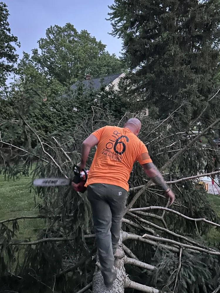 Reliable landscape installation for residential properties across Westlake, OH - Our 6 Landscaping