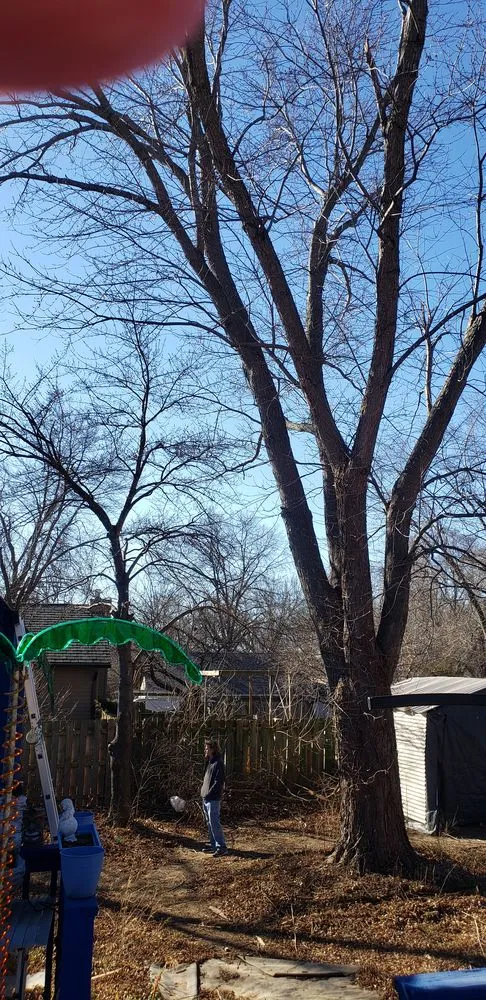 Top-rated landscape design experts serving Independence, MO - Our Backyard Lawn Service