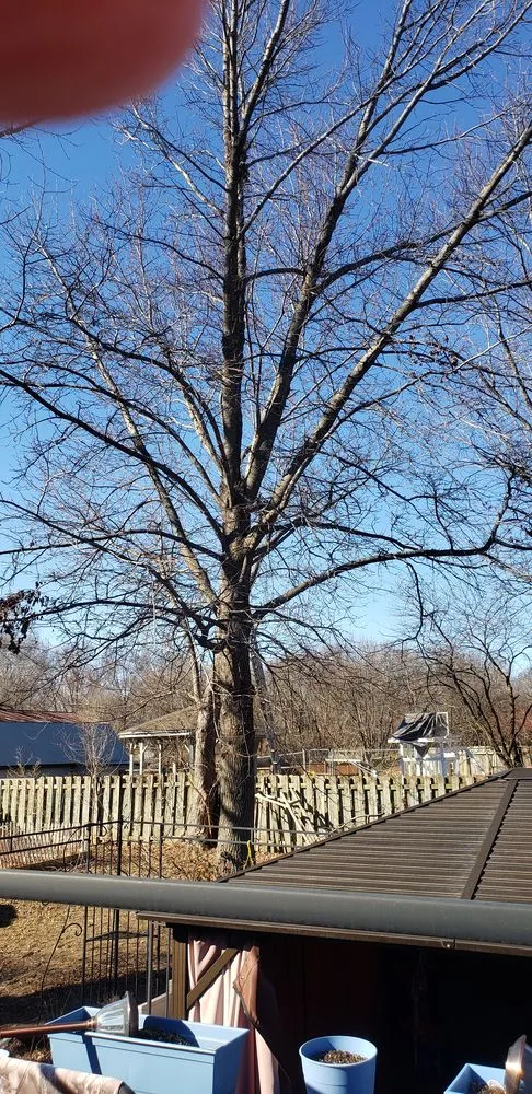 Affordable garden landscaping in Independence, MO - Our Backyard Lawn Service