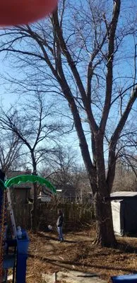 Our Backyard Lawn Service