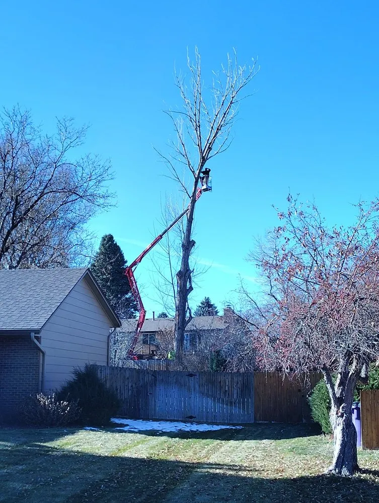 Top-rated residential landscaping in Lakewood, CO by Our Family Tree Service