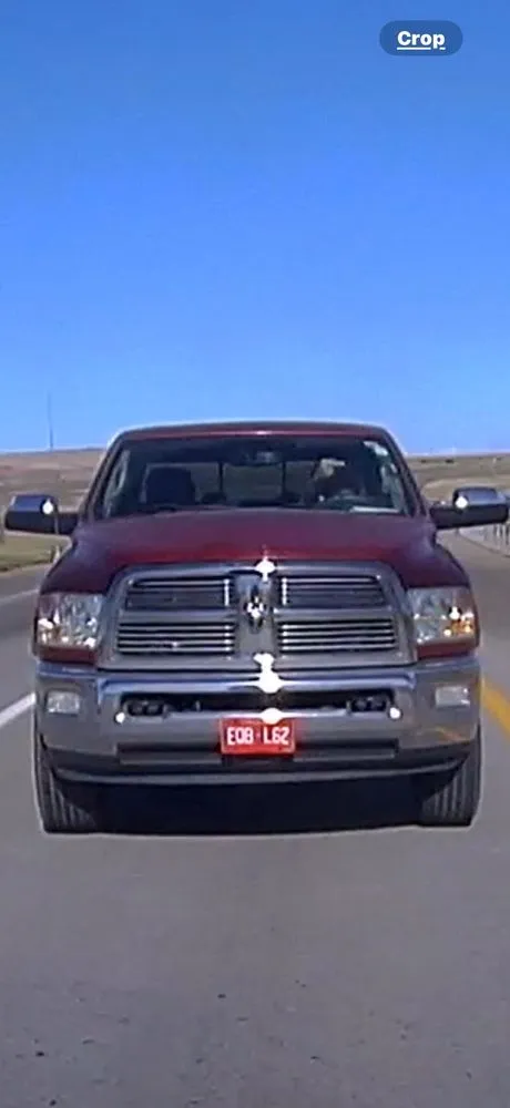 Professional yard maintenance in Lakewood, CO by Our Family Tree Service