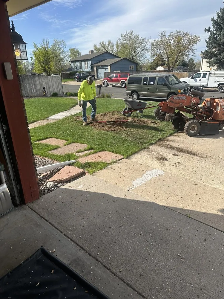 Professional lawn care service for beautiful yards across Lakewood, CO - Our Family Tree Service