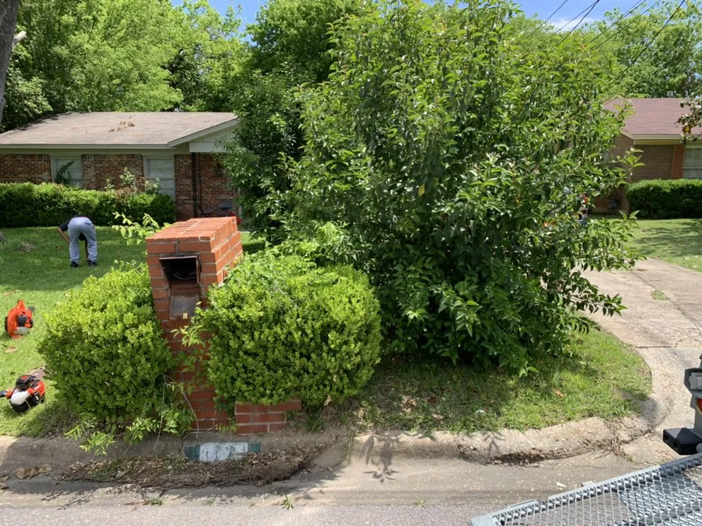 Local yard maintenance for residential properties across Montgomery, AL - Our Home Services