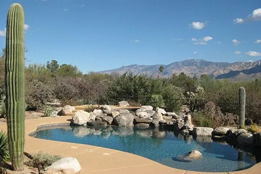 Local yard cleanup service in Tucson, AZ by Our Landscaper