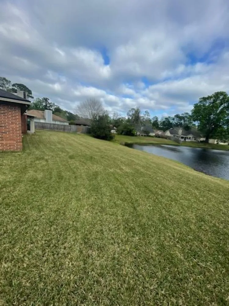 Reliable landscape design for year-round maintenance across Jacksonville, FL - Our Property Maintenance