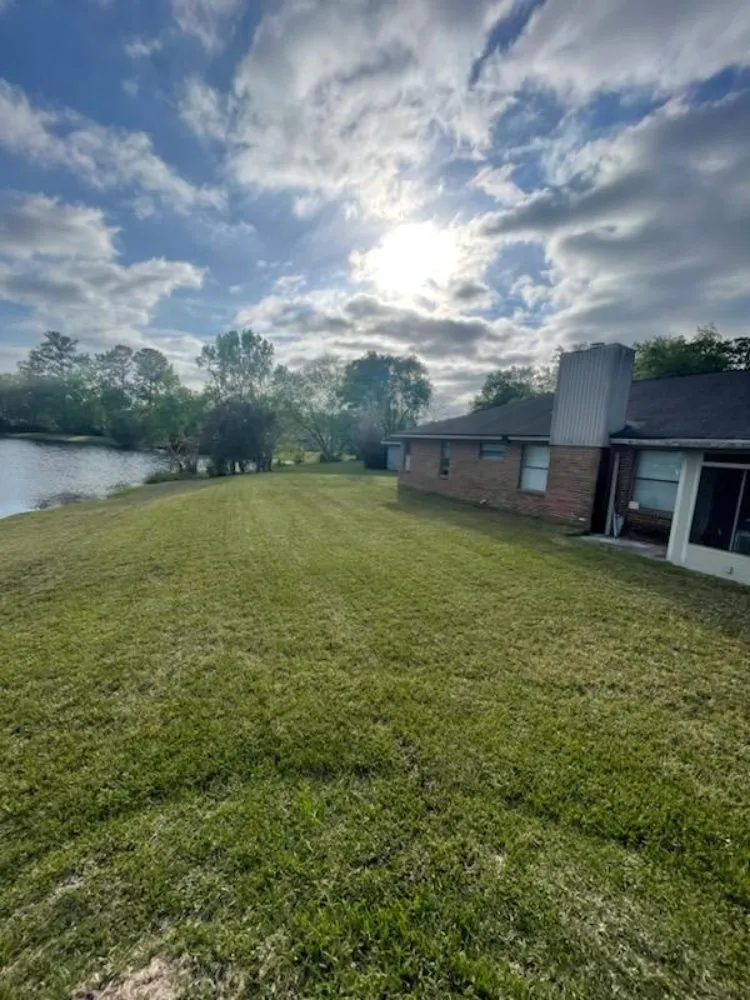 Reliable yard cleanup service experts serving Jacksonville, FL - Our Property Maintenance