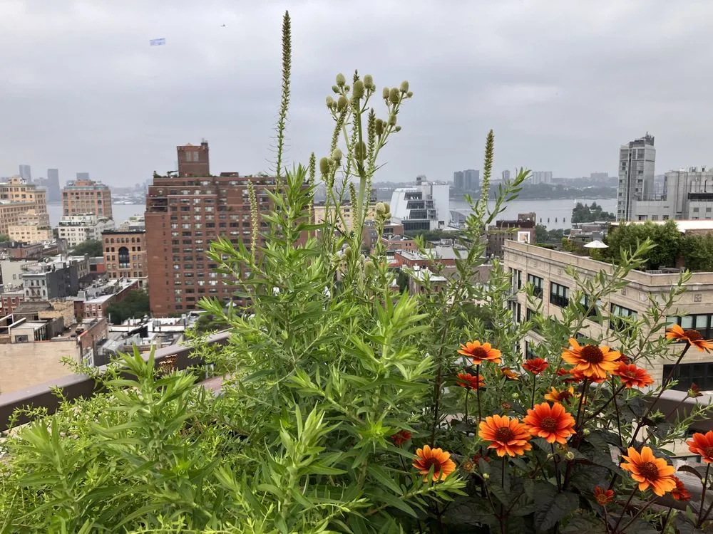 Trusted landscape installation in Brooklyn, NY - Our Temenos