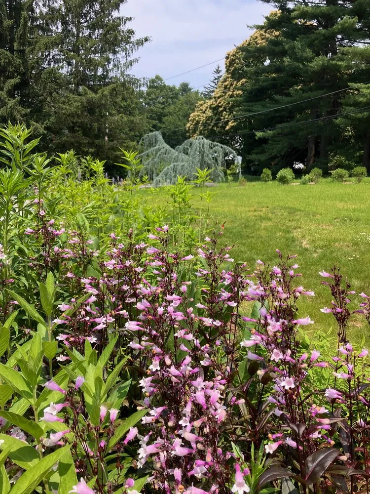 Affordable residential landscaping in Brooklyn, NY by Our Temenos