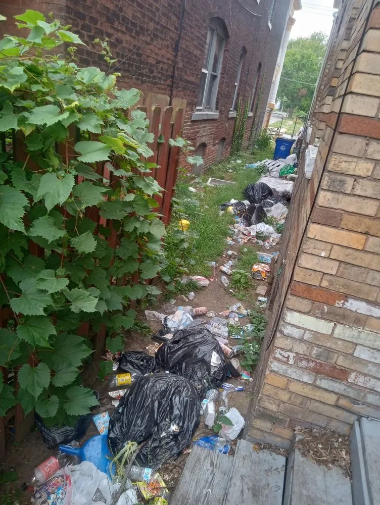 Professional garden landscaping with custom design across Cleveland, OH - Our Top Priority