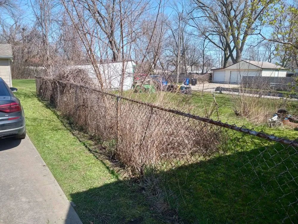 Local yard cleanup service experts serving Cleveland, OH - Our Top Priority