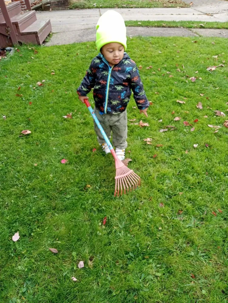 Custom garden landscaping near you across Cleveland, OH - Our Top Priority