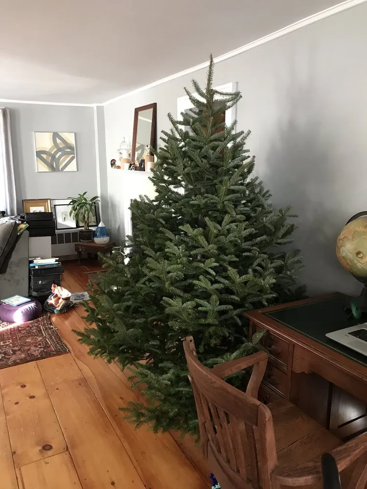 Reliable landscaping services for year-round maintenance in Hancock, NH by Our Town Landscaping