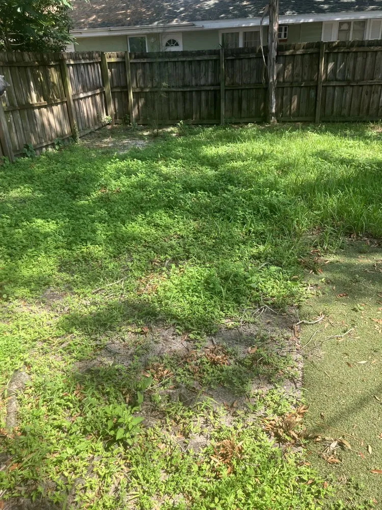 Expert lawn care service near you across Belleair Bluffs, FL - Our World Landscaping