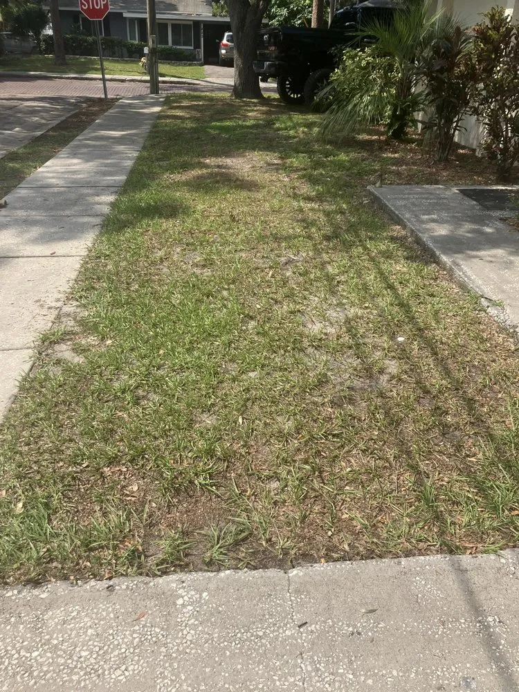 Trusted outdoor landscaping experts serving Belleair Bluffs, FL - Our World Landscaping