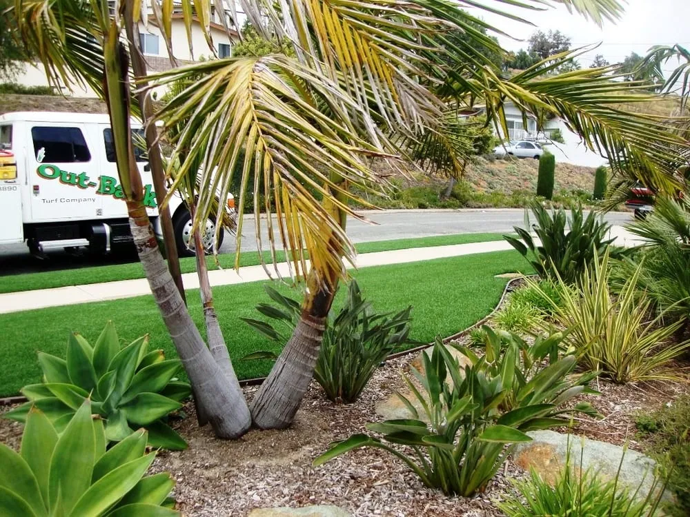 Trusted outdoor landscaping experts serving El Cajon, CA - Out-Back Turf Company