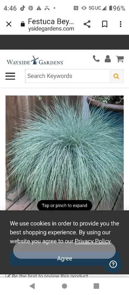 Trusted outdoor landscaping in Grain Valley, MO - Out in the Yard