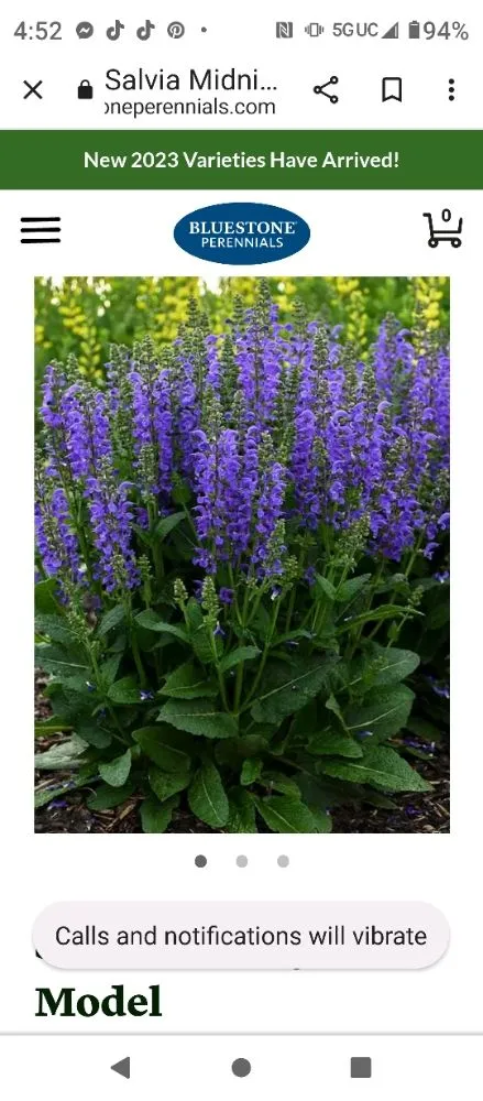 Affordable landscaping services in Grain Valley, MO - Out in the Yard