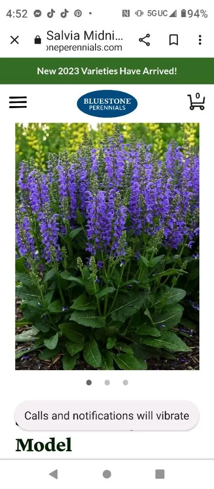 Expert yard cleanup service near you across Grain Valley, MO - Out in the Yard