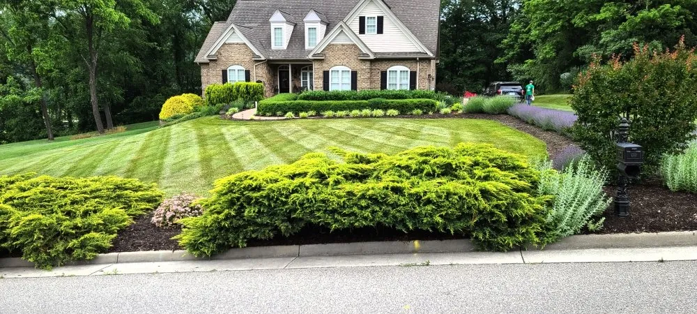Custom lawn mowing service for outdoor upgrades across Dublin, VA - Out-Lawn Mowing
