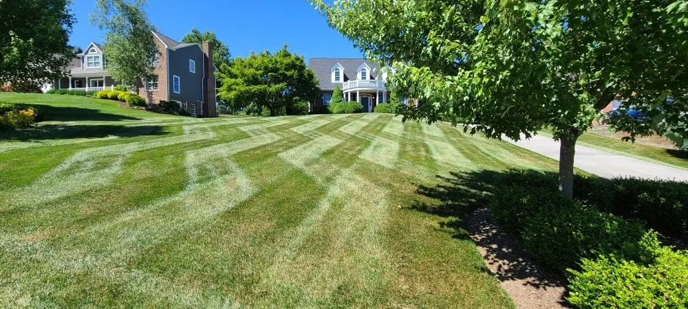 Custom yard maintenance in Dublin, VA - Out-Lawn Mowing