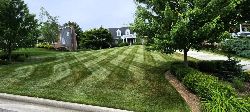 Affordable outdoor landscaping in Dublin, VA by Out-Lawn Mowing