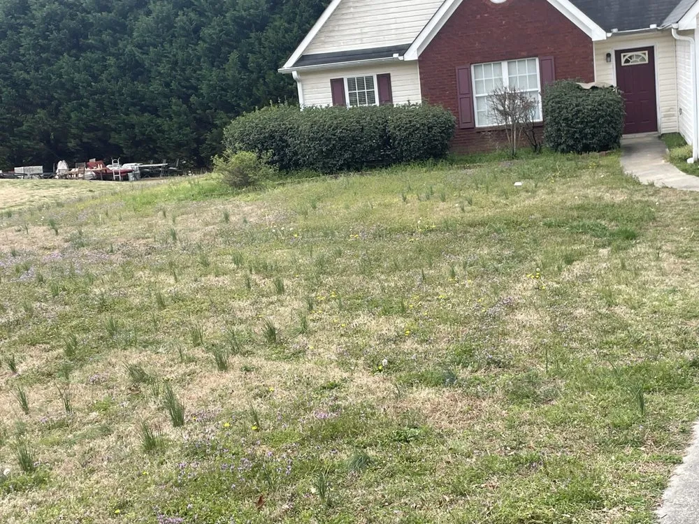 Top-rated landscaping services with custom design in Monroe, GA by Out Line Landscape